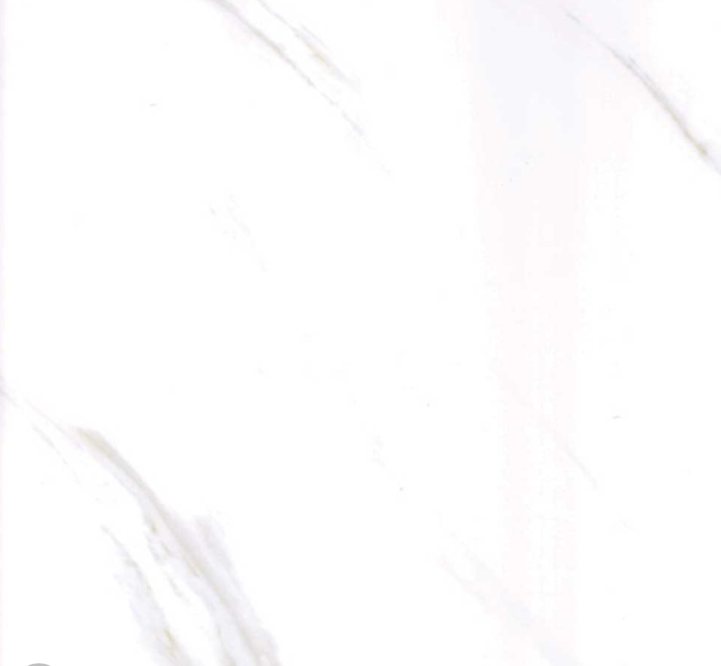 Carrera White Gloss|Matt