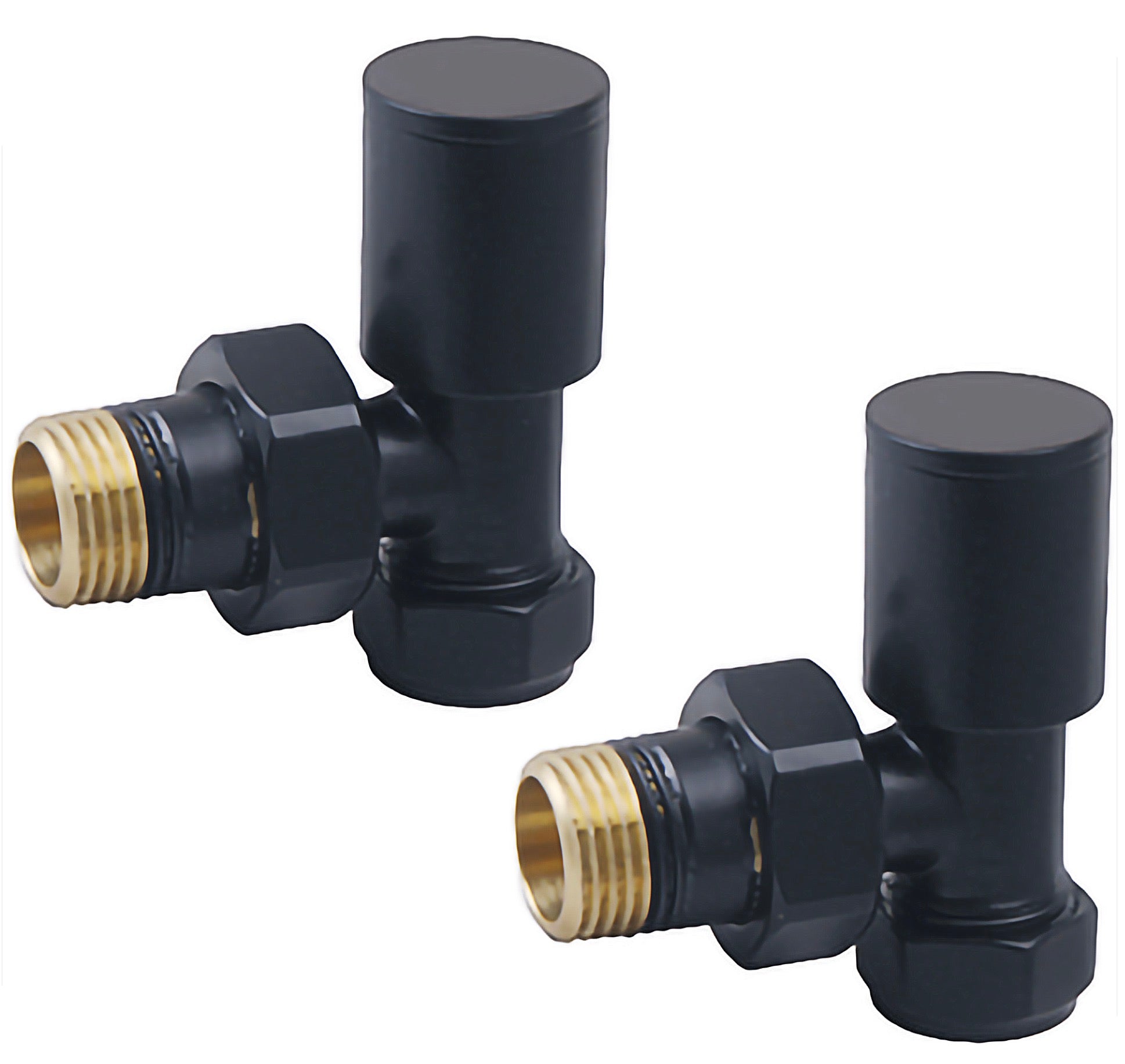 Choice Ladder Rail Valves