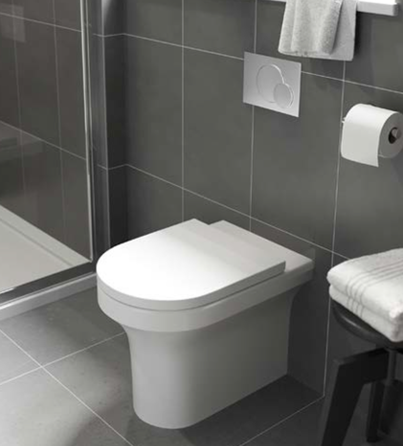 Ozone Rimless Back To Wall Pan & Seat